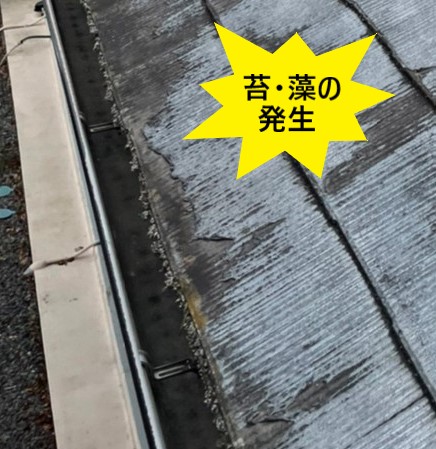 苔や藻の発生　カラーベストの経年劣化